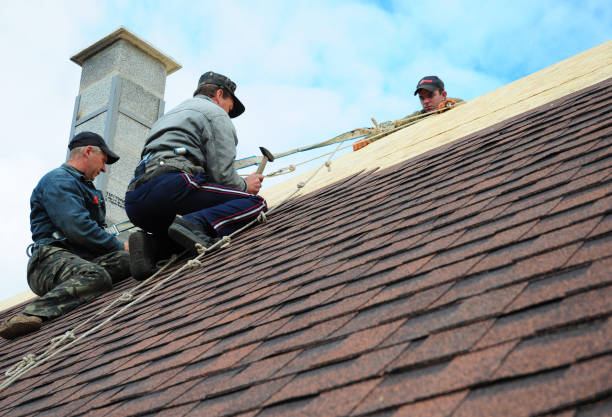 Best Shingle Roofing Installation  in Fort Carson, CO